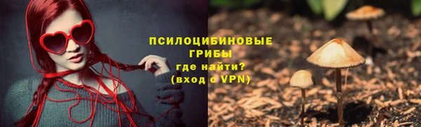 меф Алексин