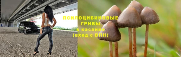 стаф Алексеевка