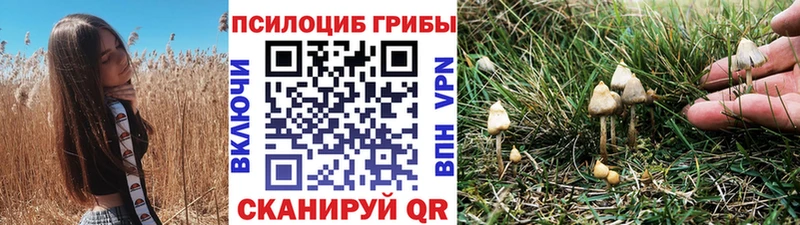 Псилоцибиновые грибы GOLDEN TEACHER  наркота  Качканар 
